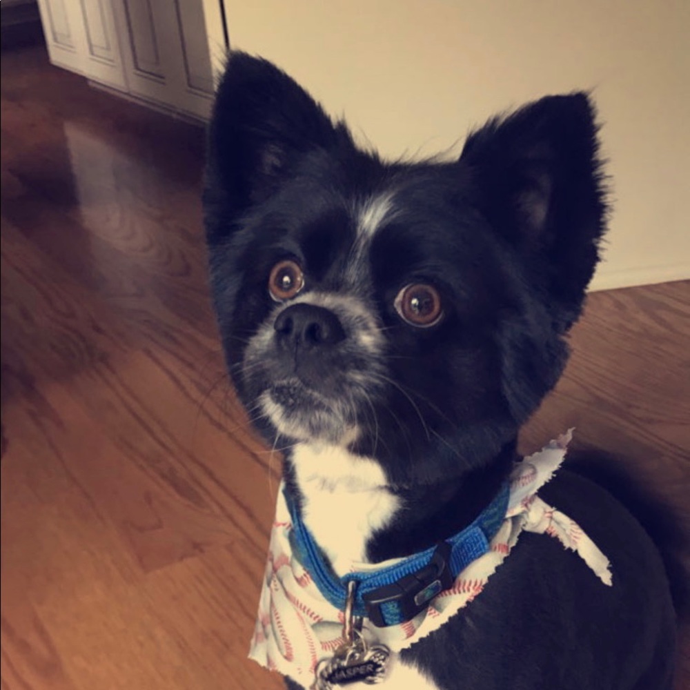 Meet your Posher, Alexa